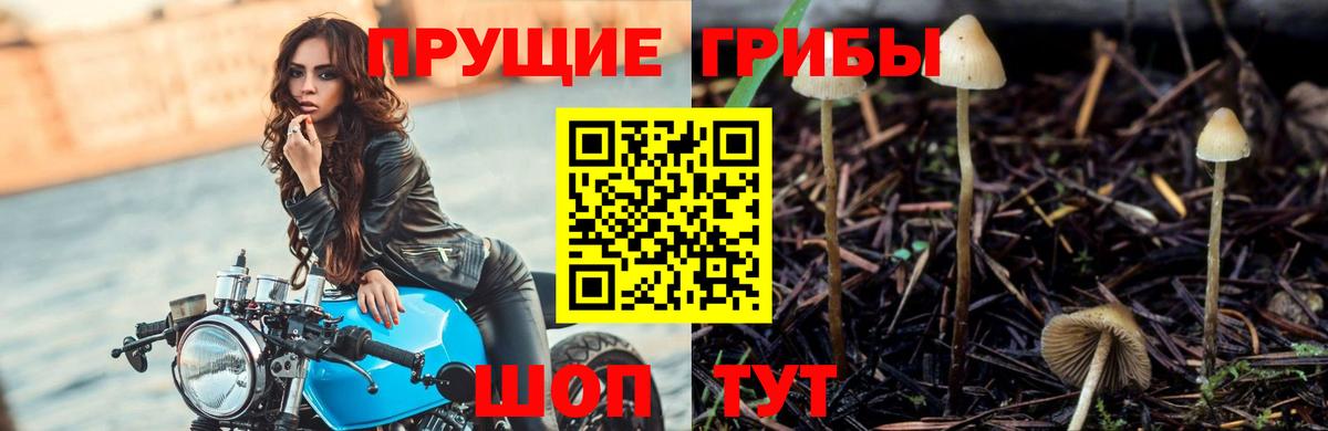 Серпухов  Псилоцибиновые грибы мухоморы  Вход с VPN 